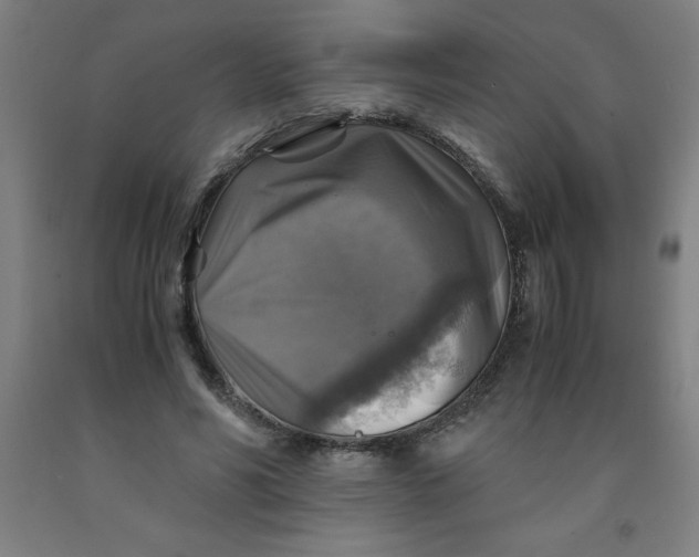 X0000091860590200709261256