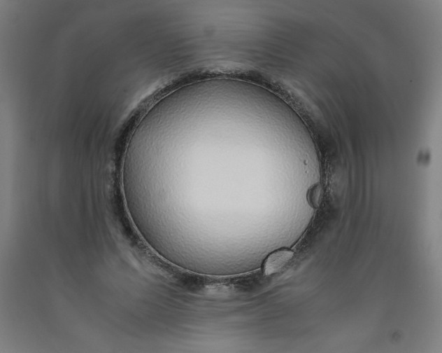 X0000091860591200709261256