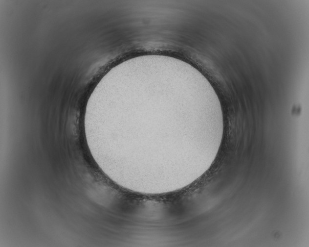 X0000091860592200709261256