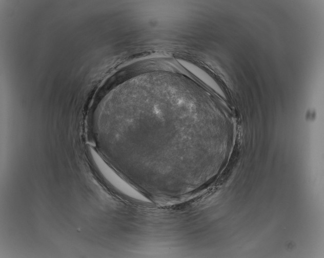 X0000091860593200709261256