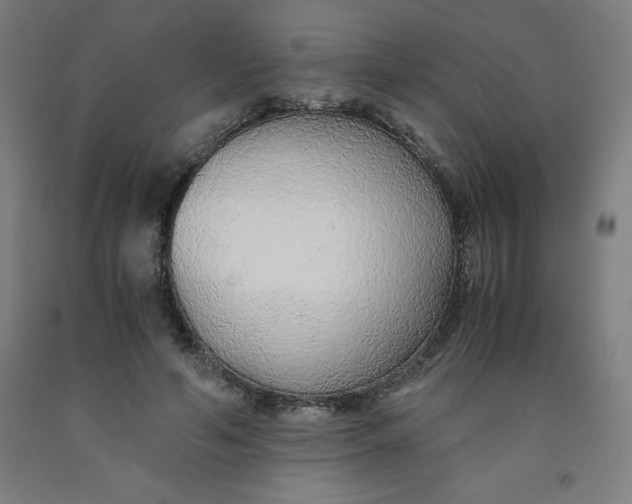 X0000091860594200709261256