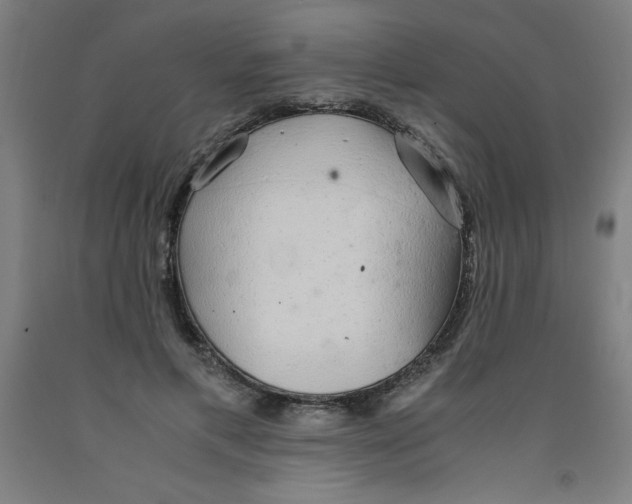 X0000091860597200709261256