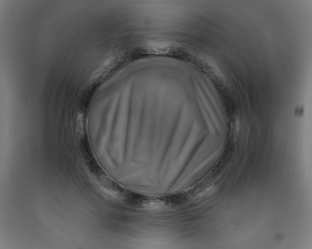 X0000091860598200709261256