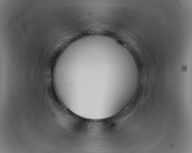 X0000091860599200709261256