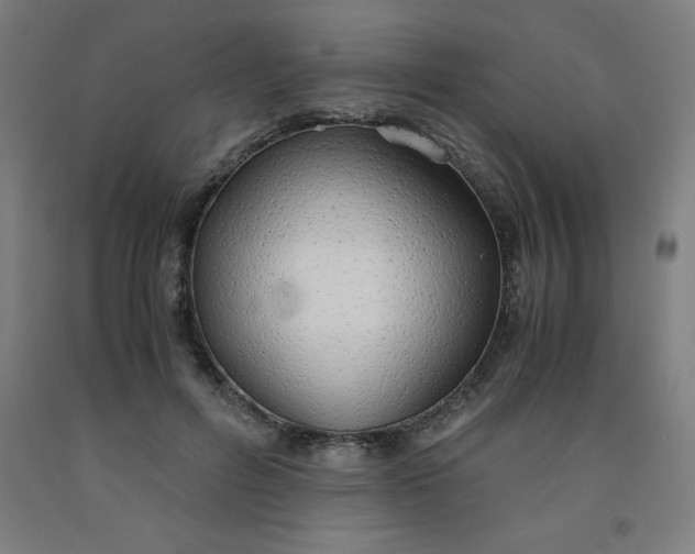 X0000091860600200709261256