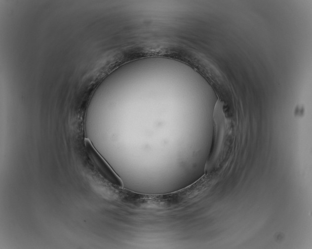 X0000091860601200709261256