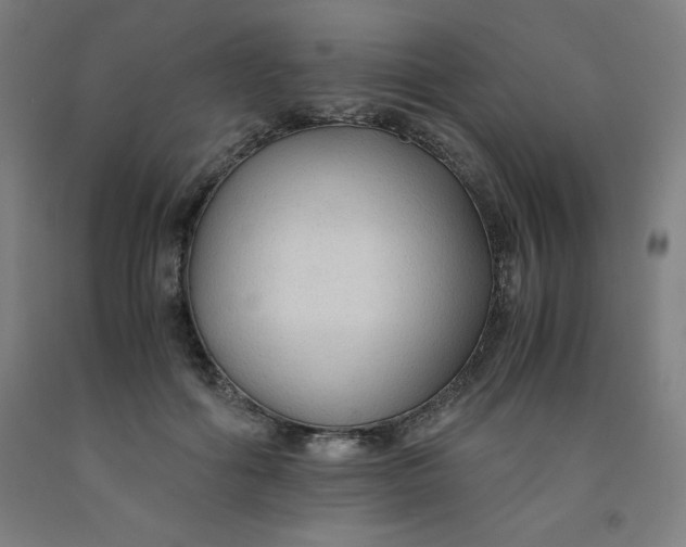 X0000091860602200709261256