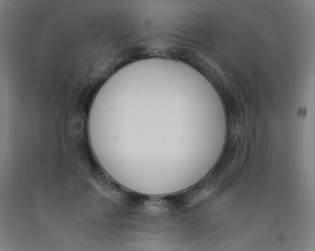 X0000091860603200709261256