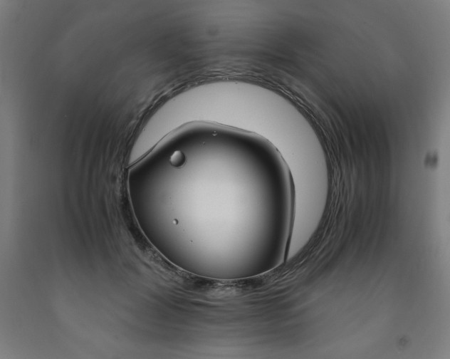 X0000091860604200709261256