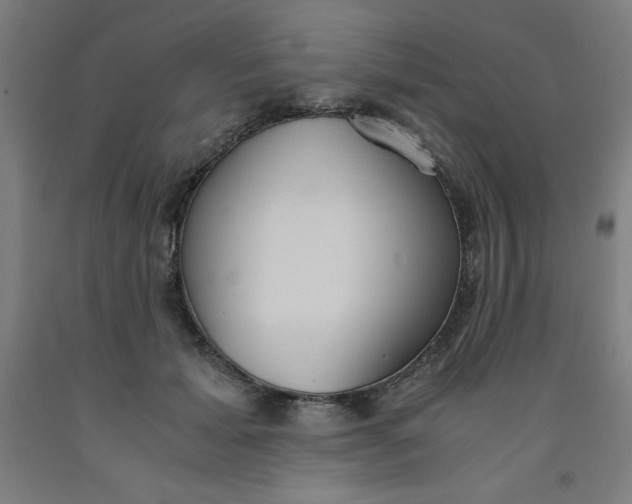 X0000091860605200709261256