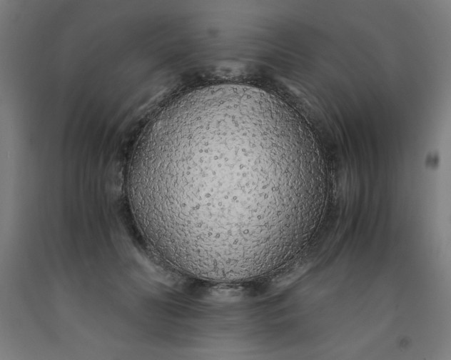 X0000091860606200709261256