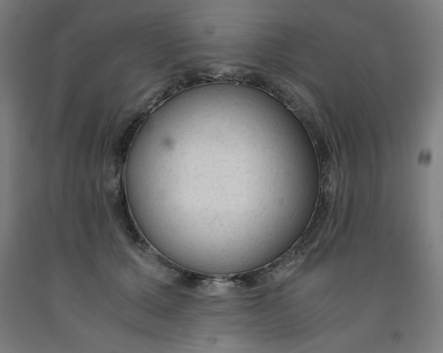 X0000091860607200709261256