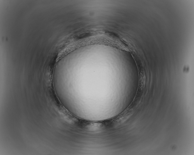 X0000091860609200709261256