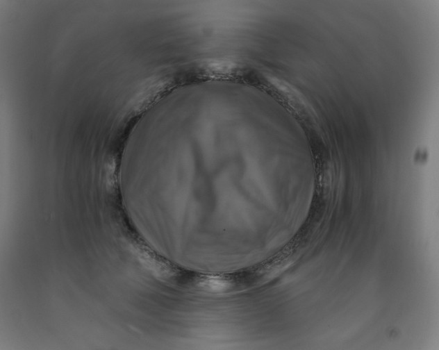 X0000091860610200709261256