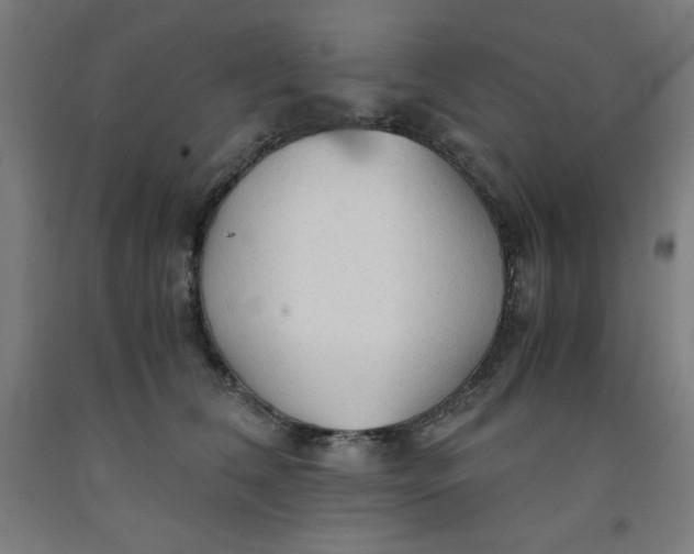 X0000091860612200709261256