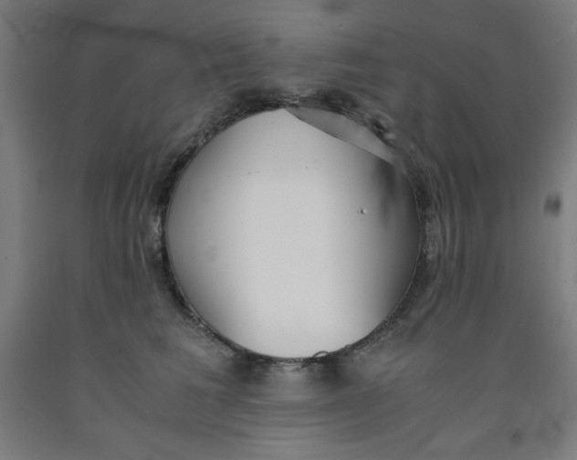 X0000091860613200709261256