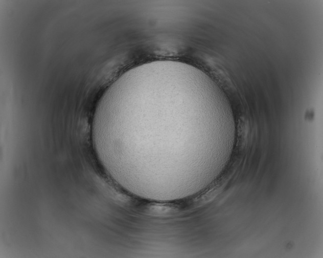 X0000091860614200709261256