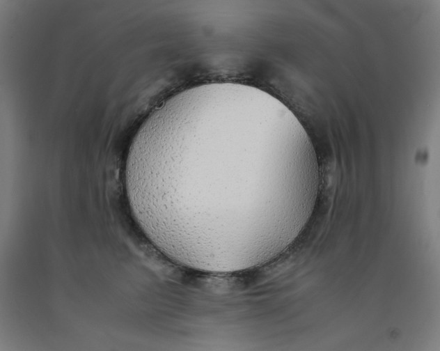 X0000091860615200709261256