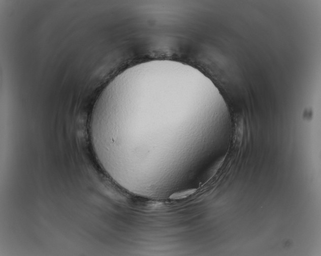 X0000091860616200709261256