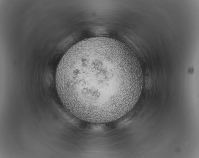 X0000091860618200709261256