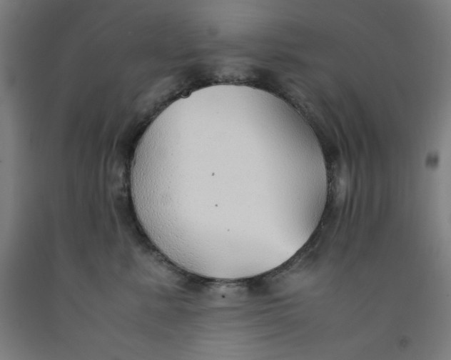 X0000091860619200709261256