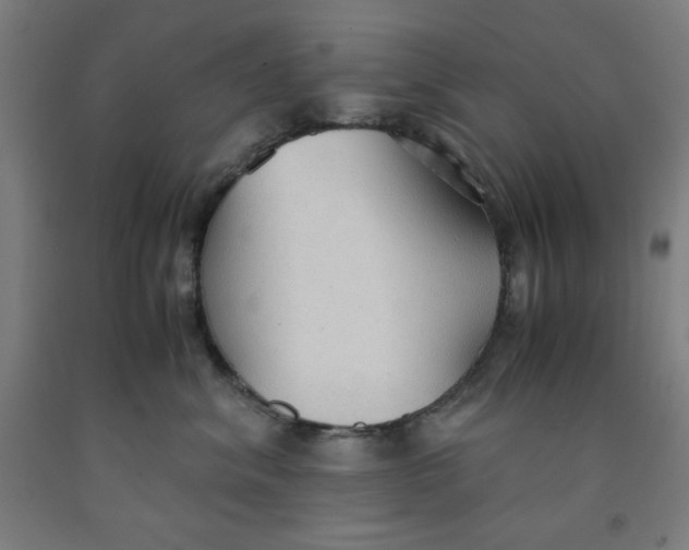 X0000091860620200709261256