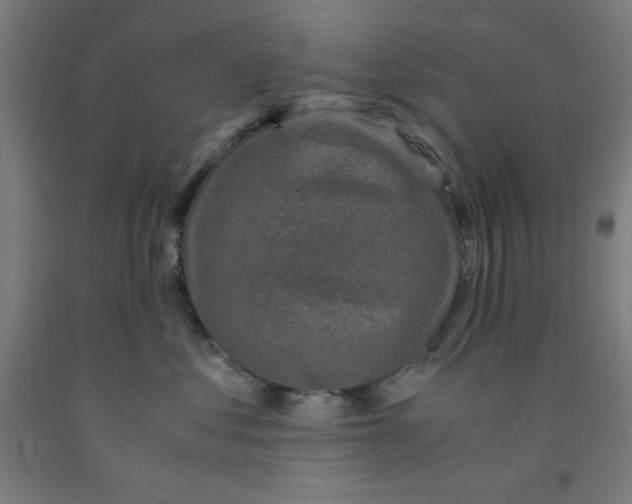 X0000091860621200709261256