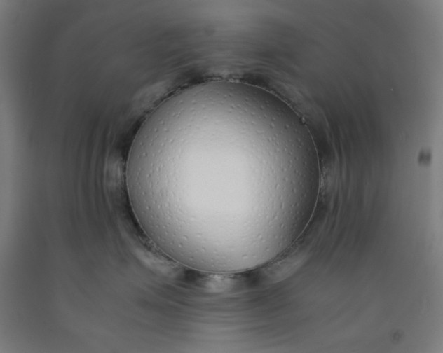 X0000091860623200709261256