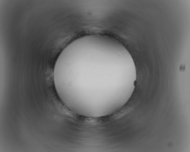 X0000091860624200709261256