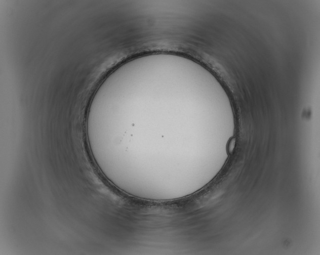 X0000091860625200709261255