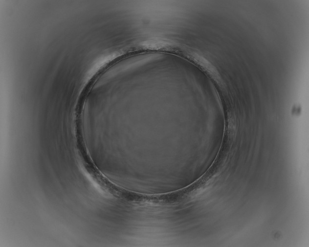 X0000091860626200709261255