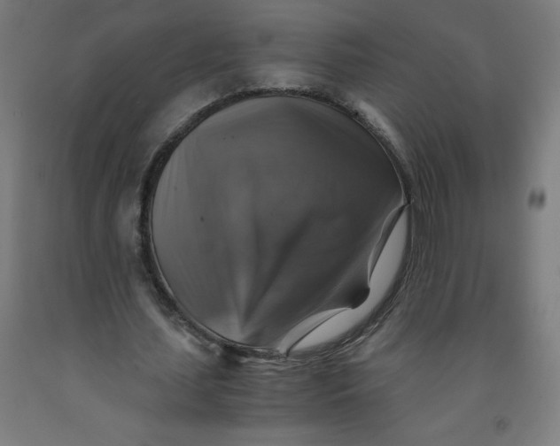 X0000091860627200709261255