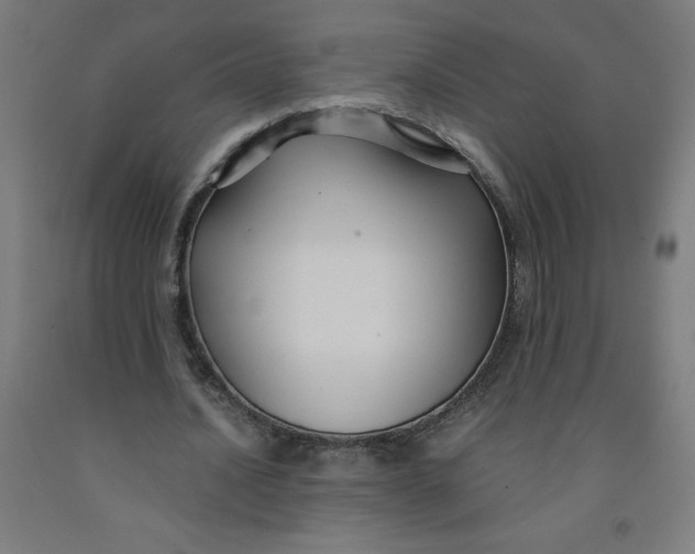 X0000091860628200709261255