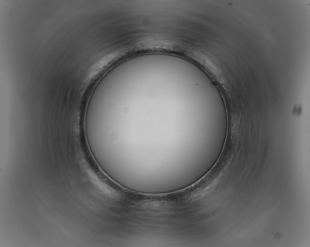 X0000091860629200709261255