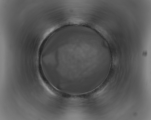 X0000091860630200709261255