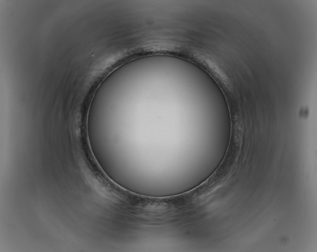 X0000091860631200709261255