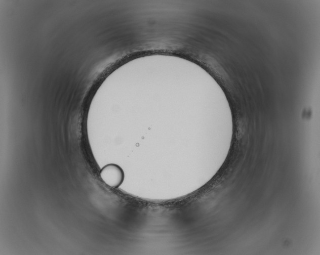 X0000091860632200709261255