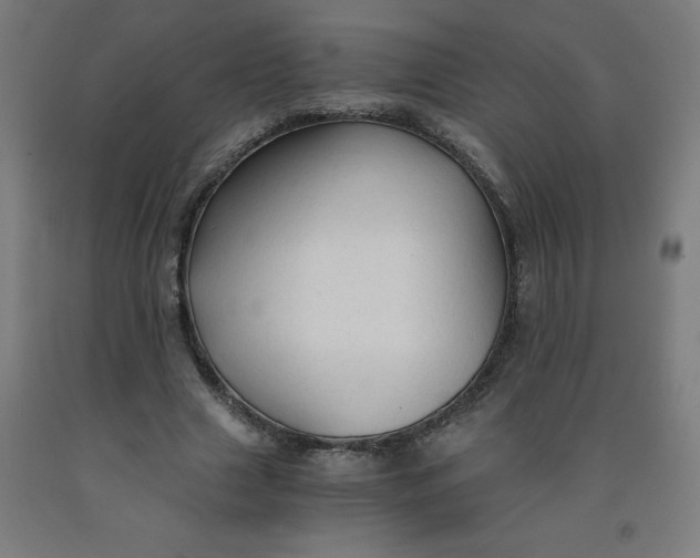 X0000091860633200709261255