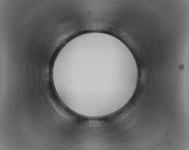 X0000091860636200709261255