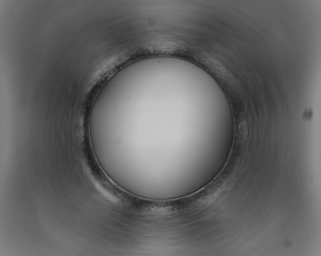 X0000091860638200709261255