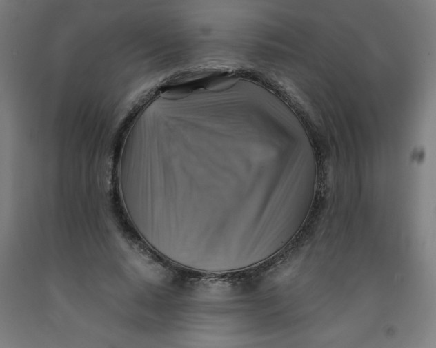 X0000091860640200709261255