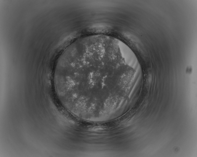 X0000091860643200709261255