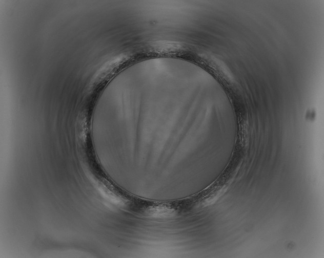 X0000091860644200709261255