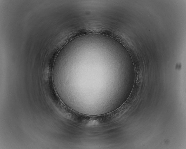 X0000091860647200709261255