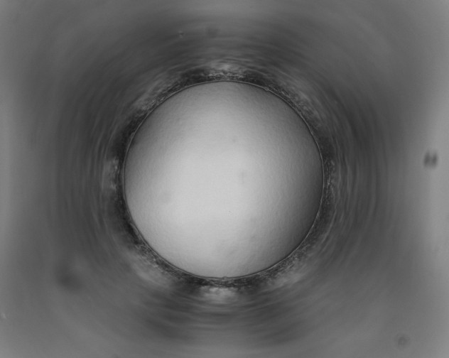 X0000091860649200709261255