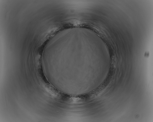 X0000091860650200709261255