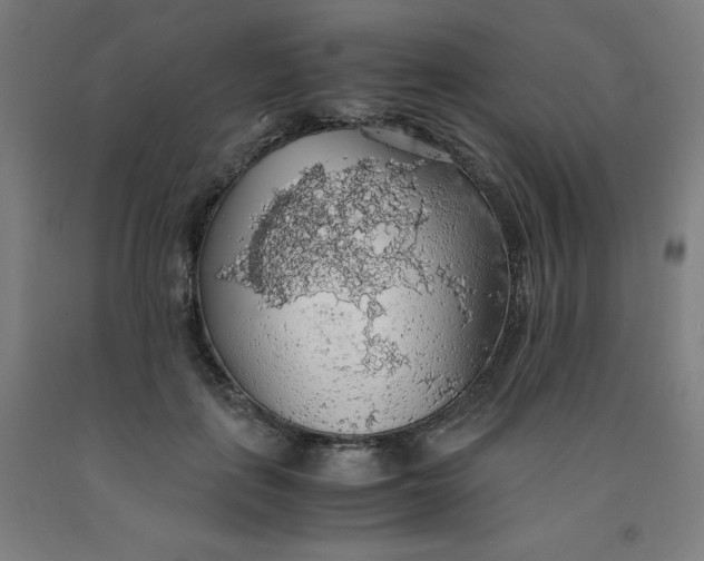 X0000091860651200709261255