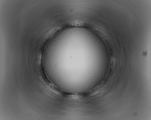 X0000091860652200709261255