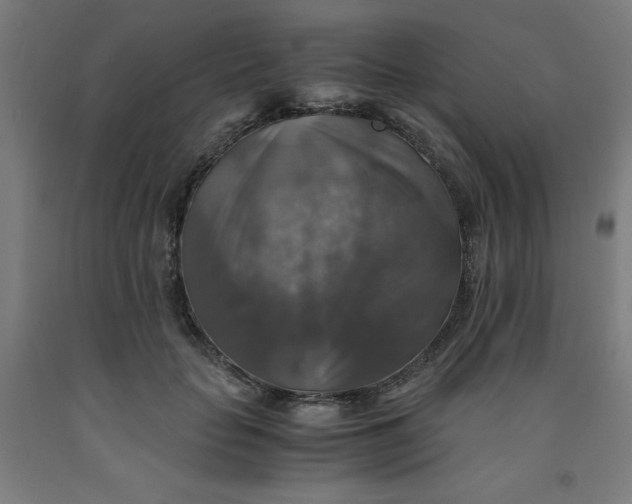 X0000091860653200709261255