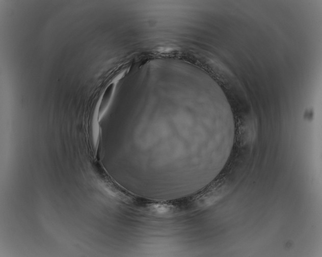 X0000091860654200709261255